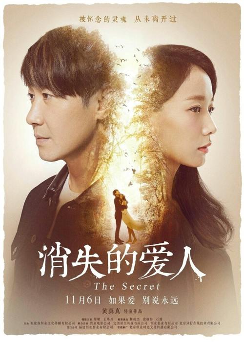 假公证书过户后果